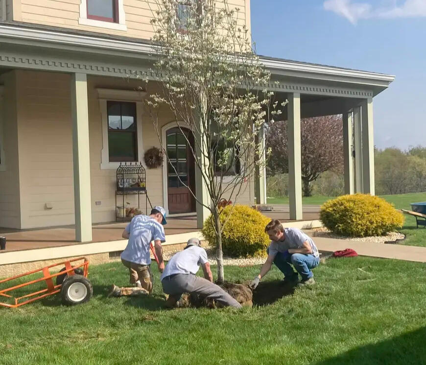 Lawn Mowing Services lawn mower